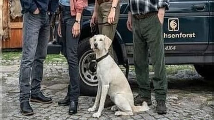 Crimen en los montes metálicos El muerto del