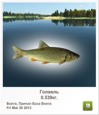 Гера Назаров | Лениногорск