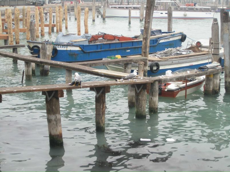 №5, Александра Шанц, 40 лет, Leverkusen, Германия №5, Александра Шанц, 40 лет, Leverkusen, Германия