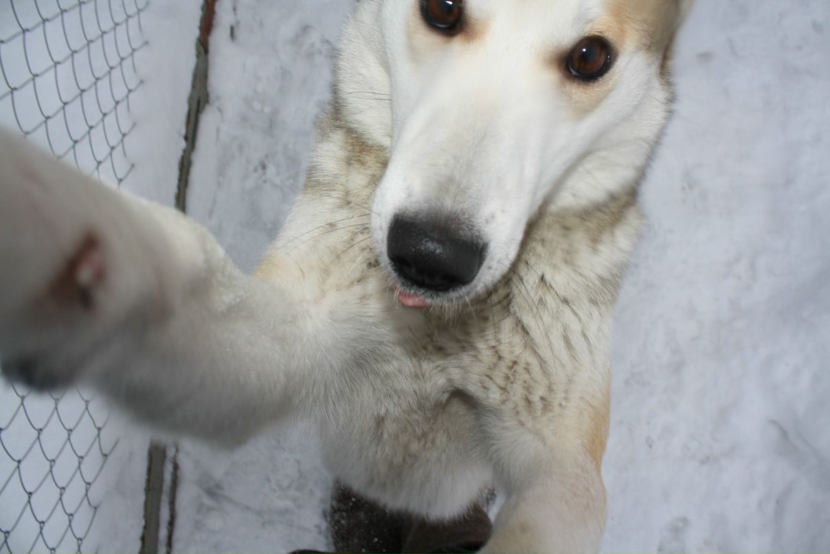 Слава Шубин | Москва