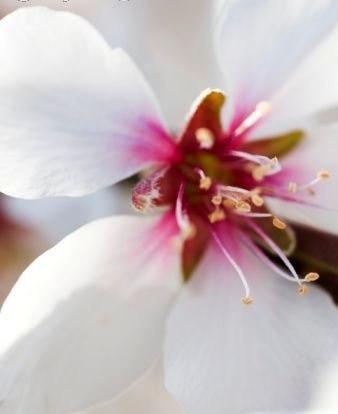 Ольга Егоркина | Москва