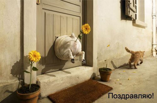 Евгений Павловский | Одесса