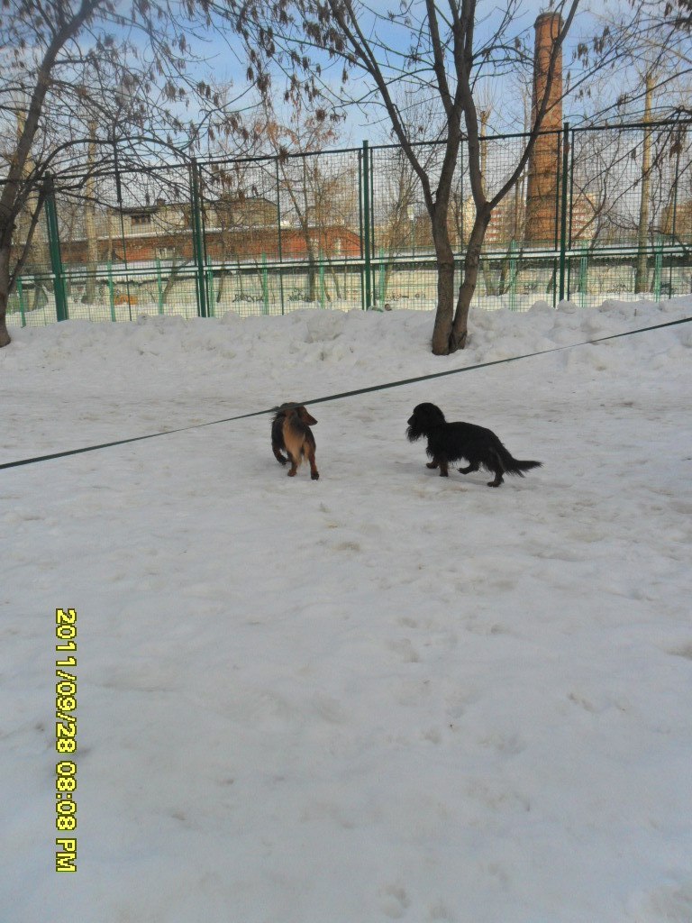 Наталия Тимофеева @Malыschka@ | Чебоксары