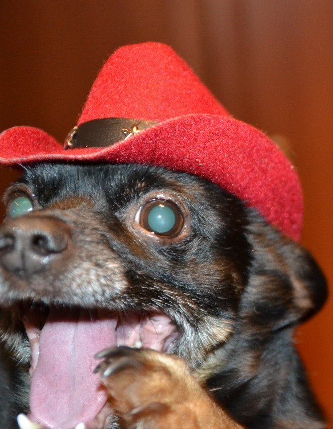 Александр Горбунов Олегович | Кемерово