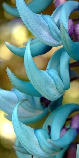 Ирина Голубкина | Санкт-Петербург