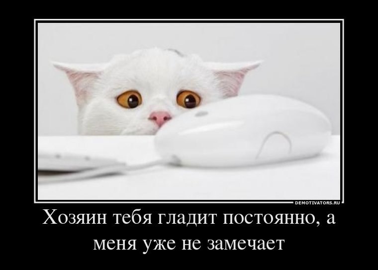 Михаил Силантьев | Владивосток