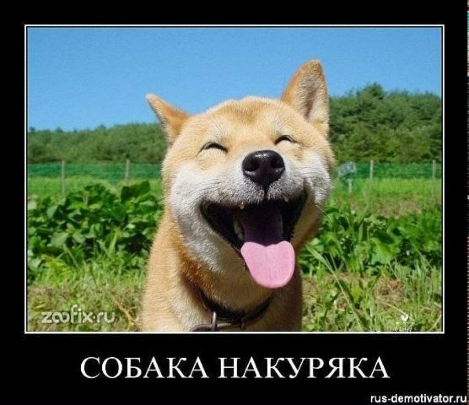 Сергей Мороз | Бузулук