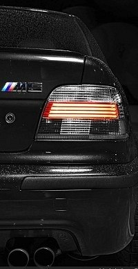 Тарас Березний | Potsdam