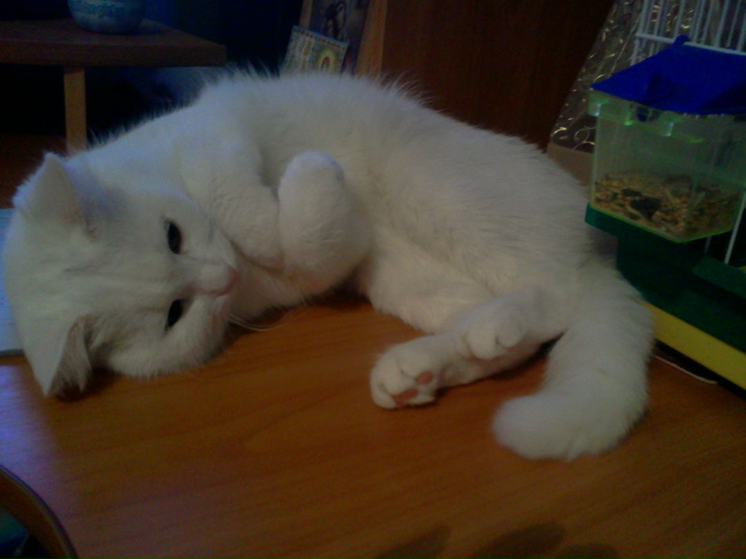 Лилия Пустовит | Гайсин