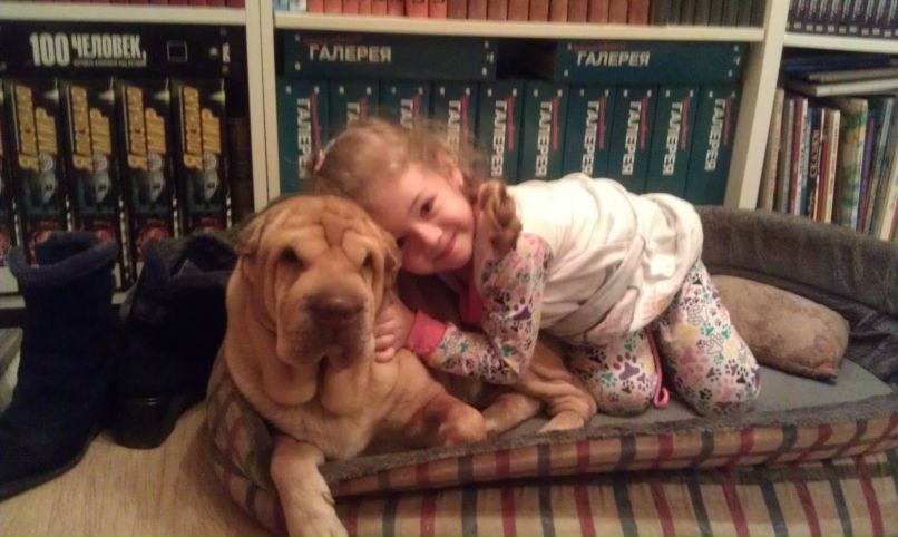 Шерри Шерри | Санкт-Петербург