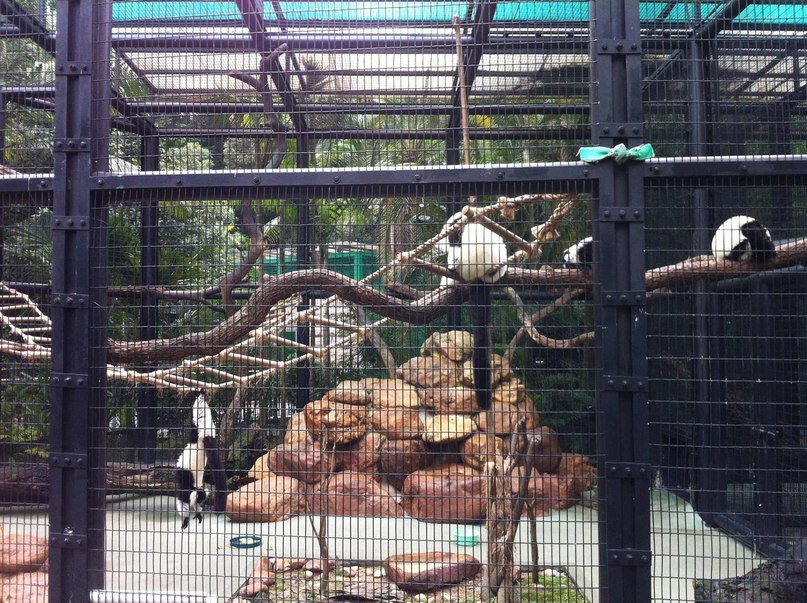 Stanislav Zheltov | Amsterdam