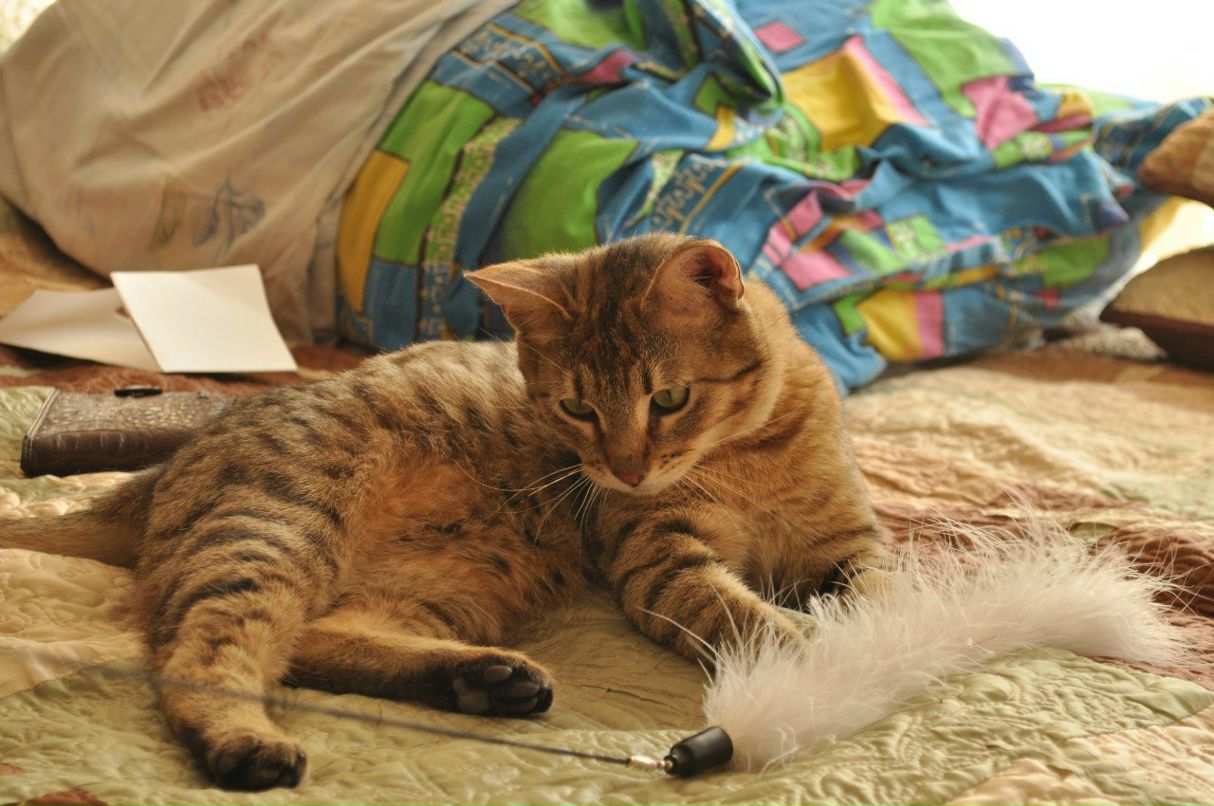 Константин Рагулин | Москва