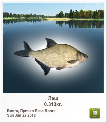 Витаха Карпов | Санкт-Петербург