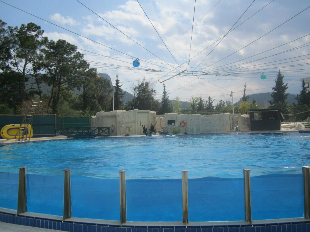 Александр Комаров | Иваново