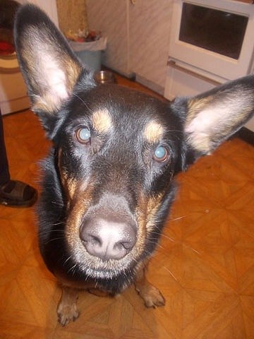 Дмитрий Усачев | Зеленоград