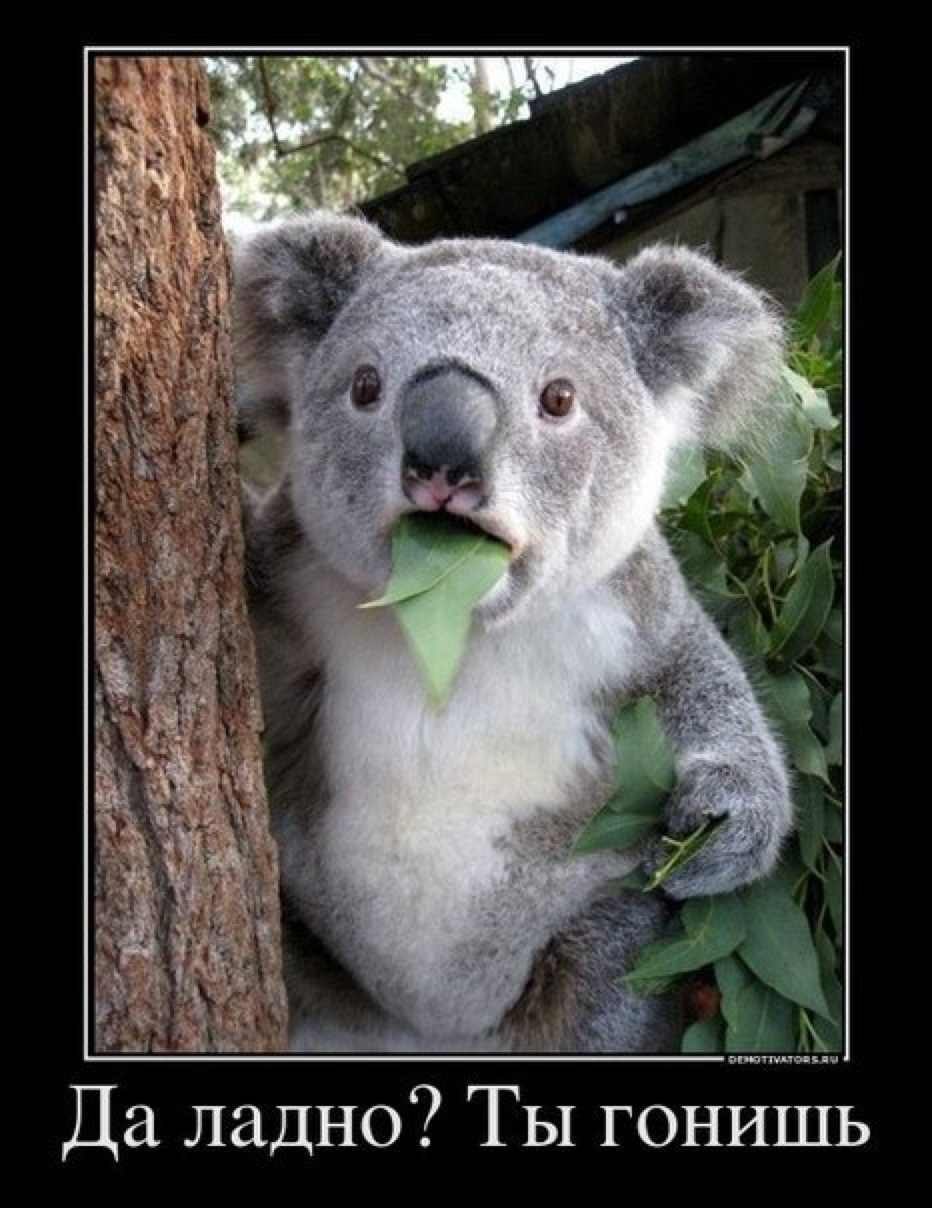 Екатерина Петриянчук | Ухта