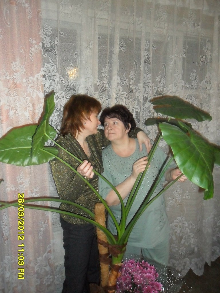 Катюня Пахомова | Красноярск