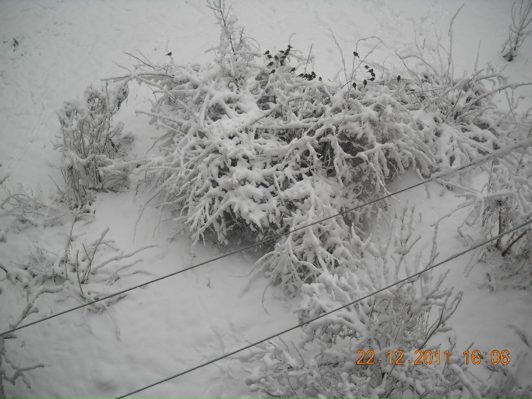 Юрий Бурыкин | Брянск