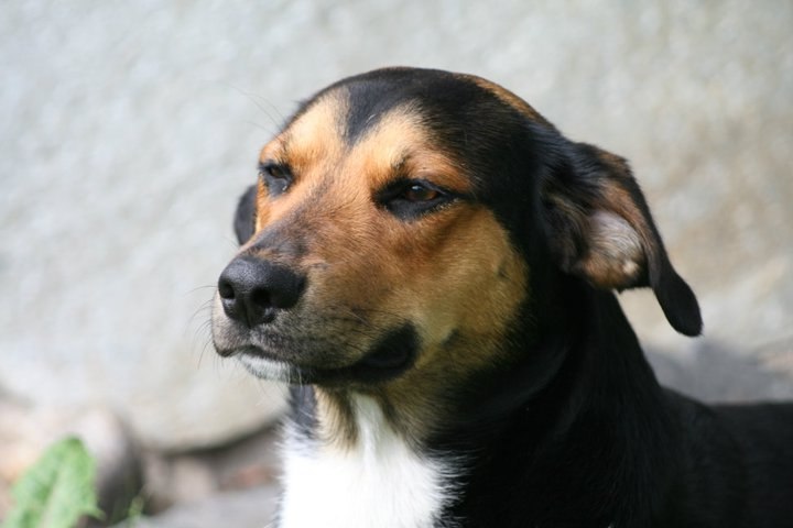 Laura Viitalähde Johanna | Hyvinkää