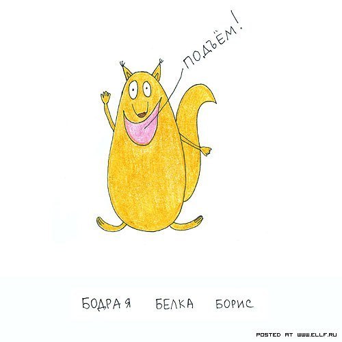 Елена Кошеленко El'ven | Оренбург