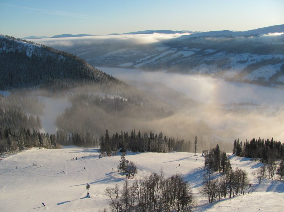 Александр Катютин | Санкт-Петербург