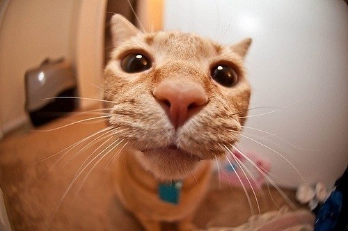 Сергей Гусляков ~ | Измаил