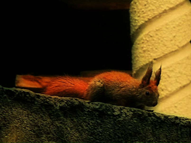 Emily Makpherson Sempl | 