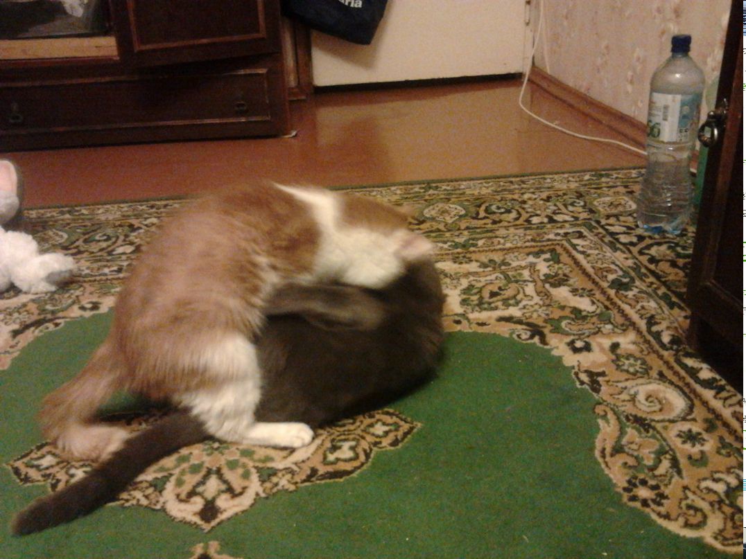 Андрей Власов | Уфа