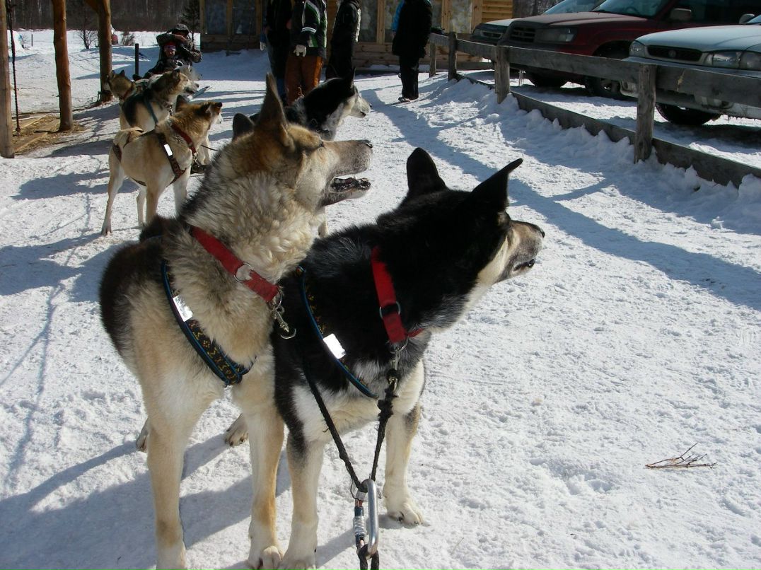 Максим Пензин maxp | Иркутск