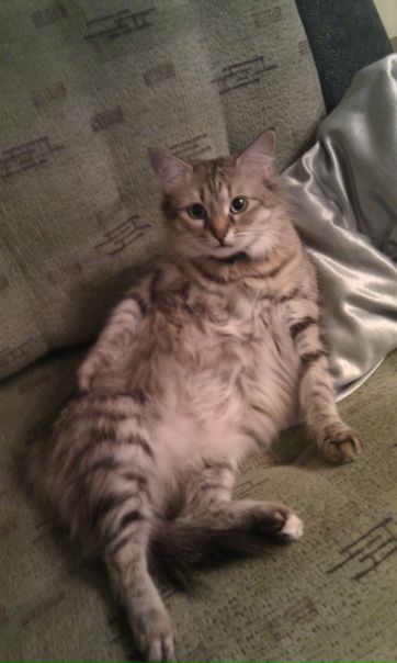 №175, Владимир Ероменко, 37 лет №175, Владимир Ероменко, 37 лет