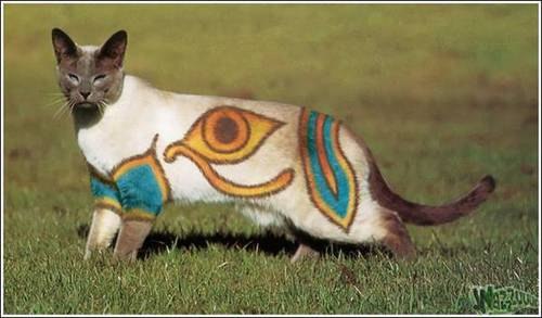 Ната Поспелова | Санкт-Петербург