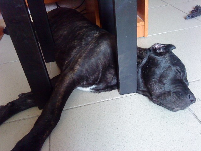 Виктория Кржиштофович | Киев