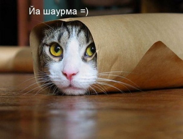 Марина Коновалова | 