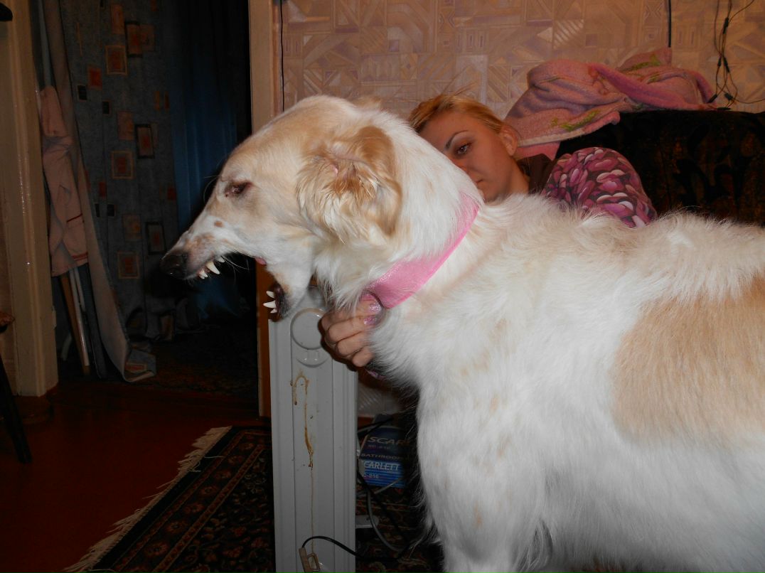 Галина Кеосиди Константиновна | Красноярск