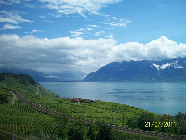 Илья Беликов Tori*Sempai. | Buenos Aires