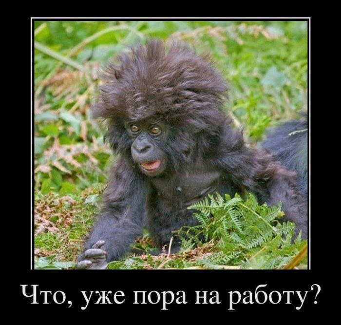 Яна Ивантьева | Москва