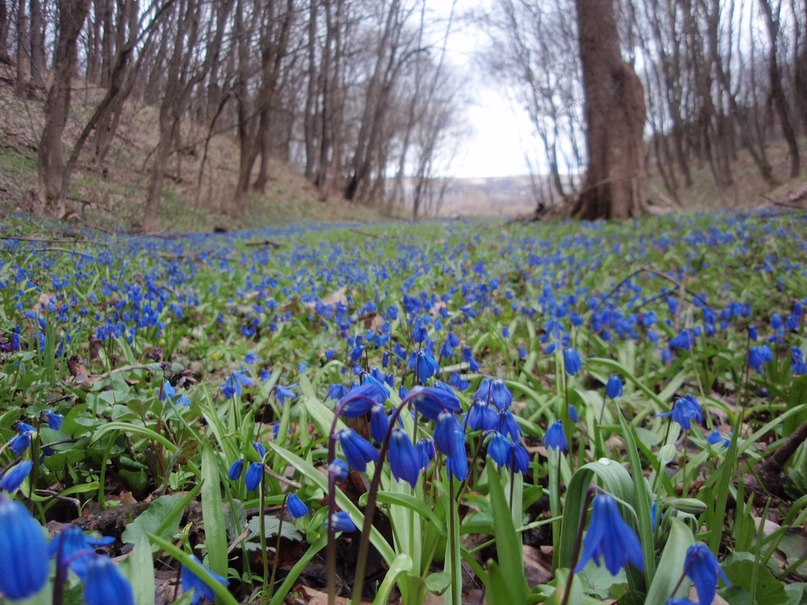 Alexzander Ru | Москва