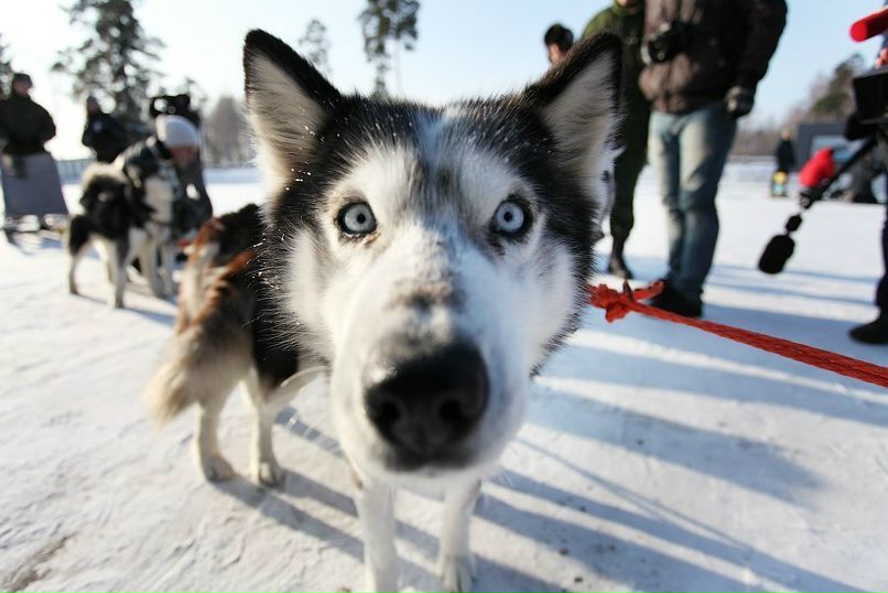 Григорий Айтняков ツ | 