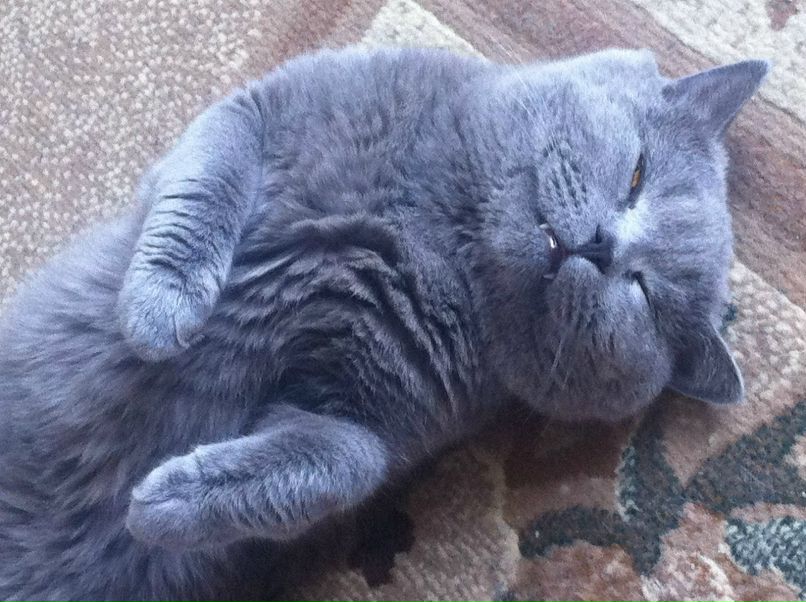 Евгений Калинин | Талдом