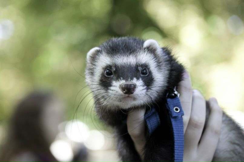 Любовь Кичик ...Расправила крылья... | Ростов-на-Дону