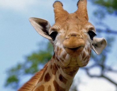 №68, Алмаз Нургалиев, 38 лет, Набережные Челны №68, Алмаз Нургалиев, 38 лет, Набережные Челны