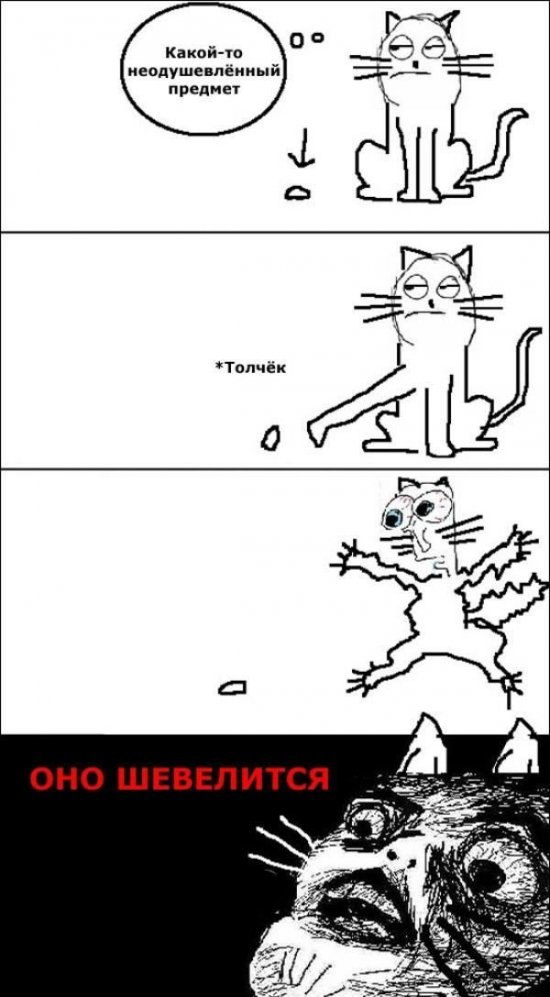 Ваня Рибаченко ‽§$ Maloi $§? | Warszawa