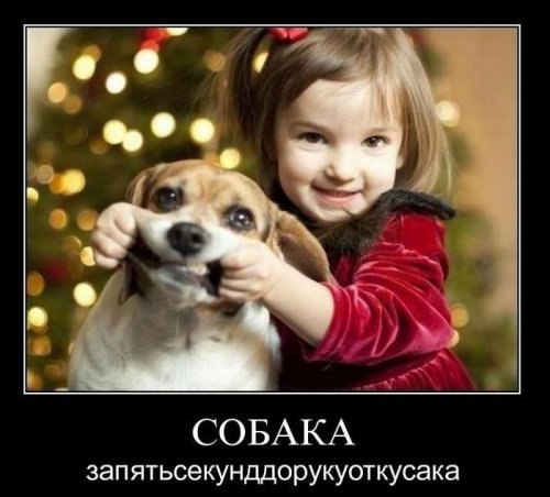 Алла Павловская | Санкт-Петербург