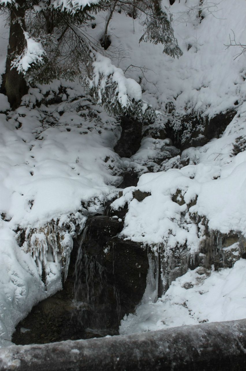 Сергей Демидов | Александров