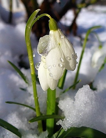 Кристина Синько | Кондопога