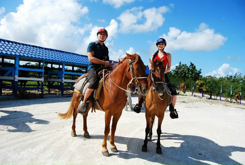 Александр ***** | Москва
