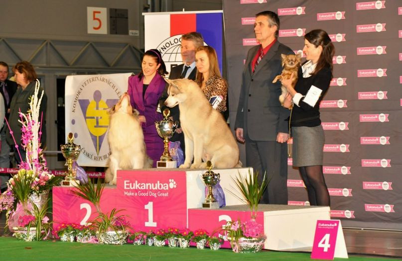 Инна Касьянчук | Ивано-Франковск