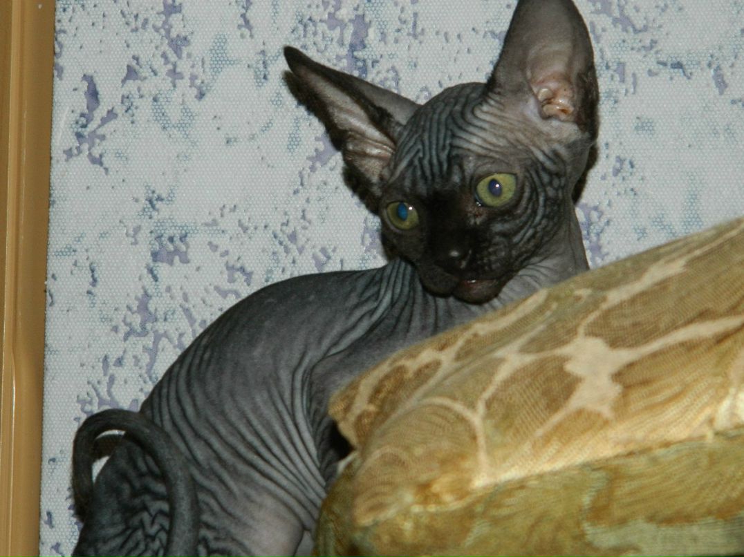 Владислав Акиншин | Балашов