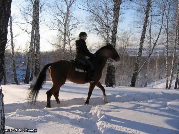 Виктор Новгородцев | Омск