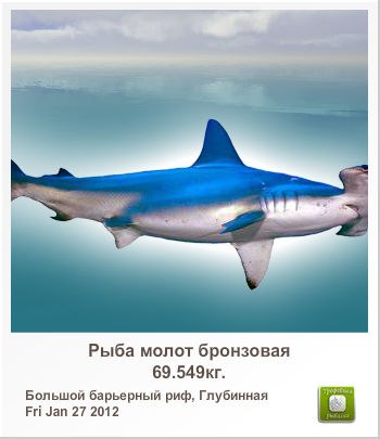 Геннадий Сиротенко | Москва